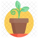 Potted Plant Flowering Plant Nature Icon