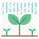 Plant Growth Plant Growth Icon