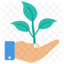 Plant Growth Growth Plant Icon