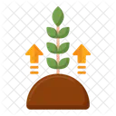 Plant Growth Growth Plant Growing Icon