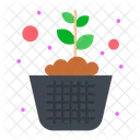 Plant Growth  Icon
