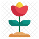 Flower Leaf Spring Icon