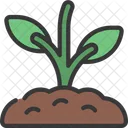Plant Growth Plant Growth Icône