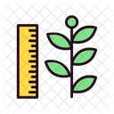 Ecology Environment Growth Icon