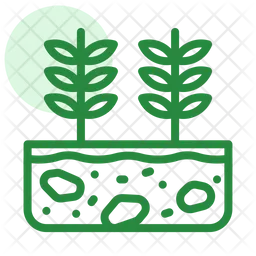 Plant growth  Icon