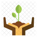 Scenery Icon Set Plant Growth Plant Icon