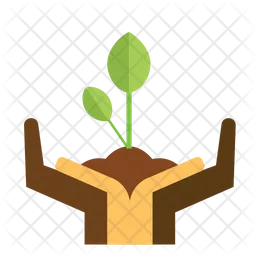 Plant growth  Icon