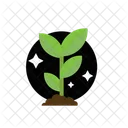 Plant Growth Growth Nature Icon