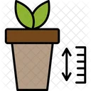 Plant growth chart  Icon