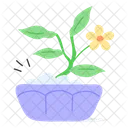 Plant Growth Eco Icon