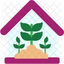 Plant House House Plant Icon