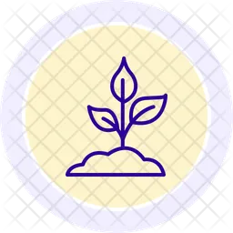 Plant  Icon