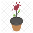 Plant  Icon