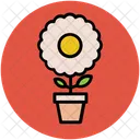 Plant Flowering Pot Icon