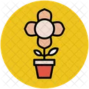 Plant Flowering Pot Icon