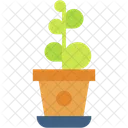 Plant  Icon