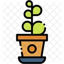 Plant Gardening Indoor Plant Icon