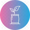 Plant Grow Growing Icon