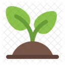 Plant Grow Leaf Icon