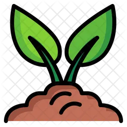 Plant  Icon