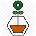 Plant Nature Green Icon