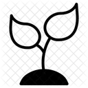 Test Tube Icon