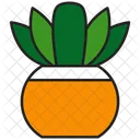 Plant Nature Leaf Icon