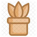 Plant Nature Leaf Icon