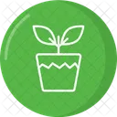 Plant Icon