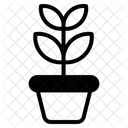 Test Tube Icon