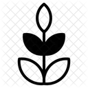 Test Tube Icon