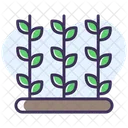 Plant Icon