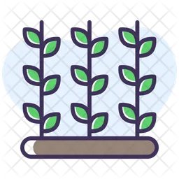 Plant  Icon