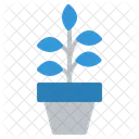 Plant Icon