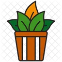 Plant Nature Leaf Icon