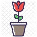 Plant Icon