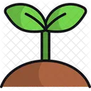 Plant Nature Leaves Icon