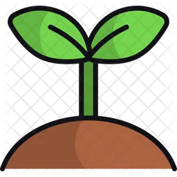 Plant  Icon