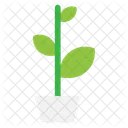 Plant Icon