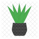 Plant Potted Leaves Icon