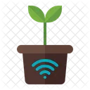 Plant  Icon