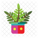 Plant  Icon
