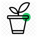 Plant  Icon