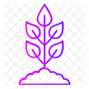 Plant Icon