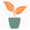 Plant Tree Interior Icon