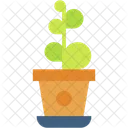 Plant Gardening Indoor Plant Icon