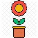 Plant  Icon