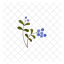 Plant Blueberry Vector Icon