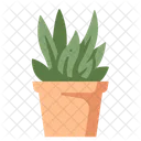 Plant Desk Plant Pot Icon