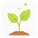 Ecology Plant Tree Icon